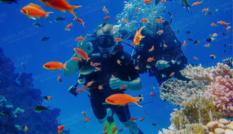 Diving Tour in Kemer