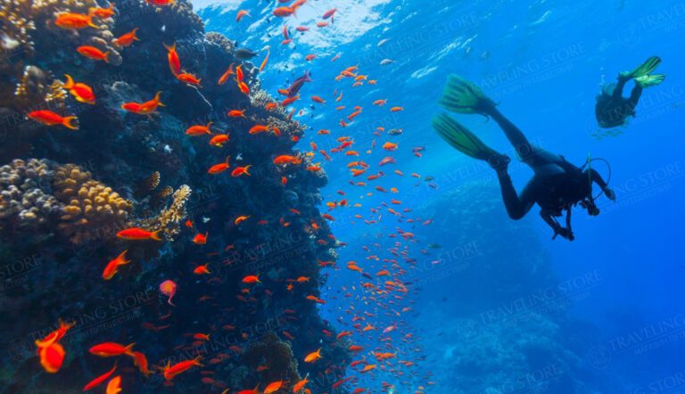 Diving Tour in Alanya