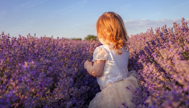 Salda Lake and Lavender Fields Tour from Alanya
